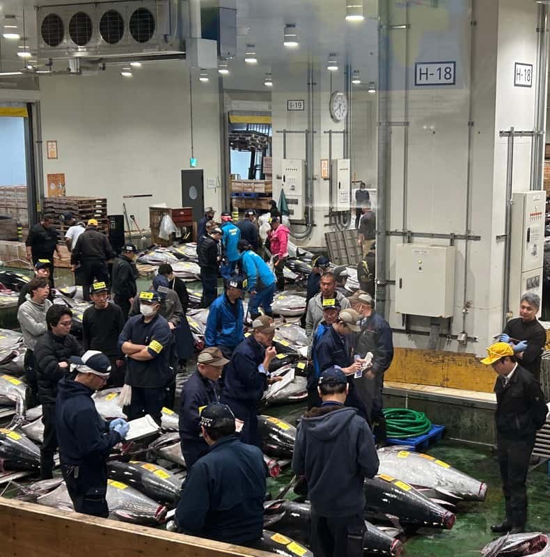 Private Toyosu Tuna Auction & Tsukiji Market Adventure