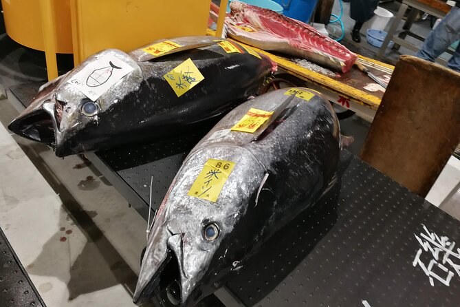 Two whole bluefin tuna on a slab, each carrying its own paper lot tag